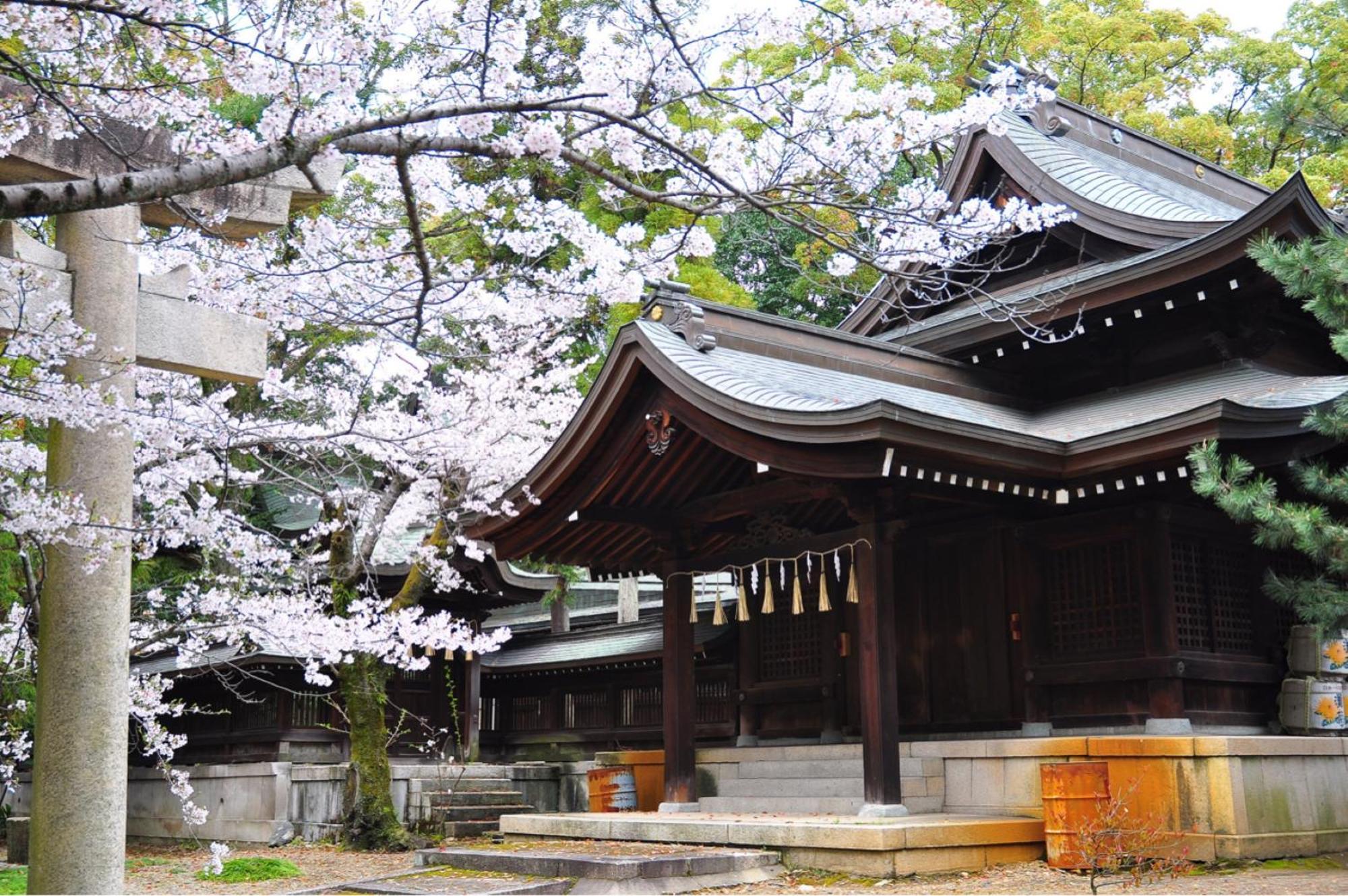 One Hostel Himeji Ngoại thất bức ảnh